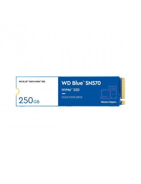 Vidinis SSD WD Blue (M.2 250GB PCIe Gen3)