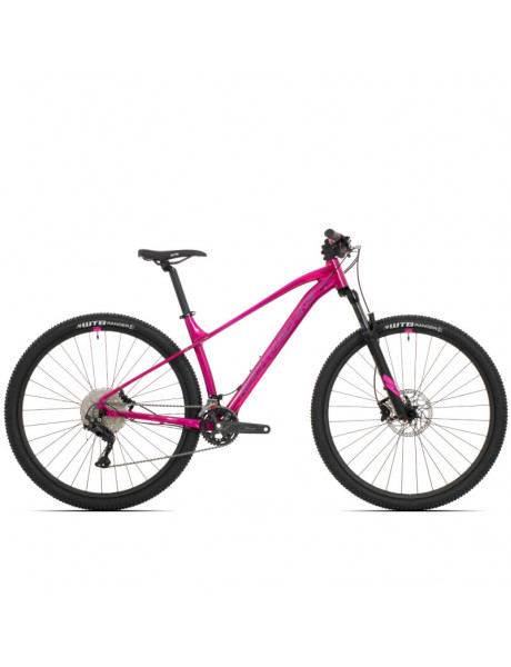 Kalnų dviratis Rock Machine 29 Catherine 40-29 rožinis (L)