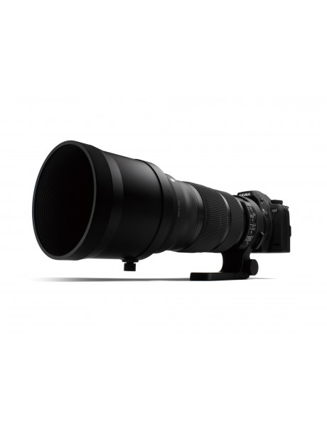 Sigma 120-300mm F2.8 DG OS HSM | Sports | Canon EF