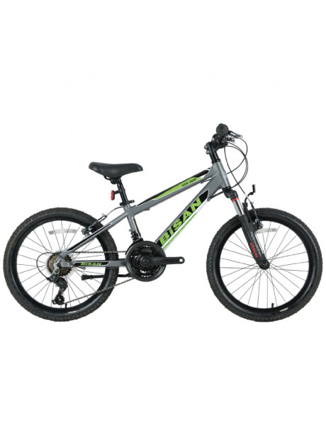 Vaikiškas dviratis Bisan 20 KDX2600 (PR10010392) pilkas/žalias
