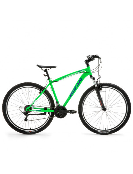 Kalnų dviratis Bisan 29 LEON VB (PR10010476) žalias/mėlynas (19)